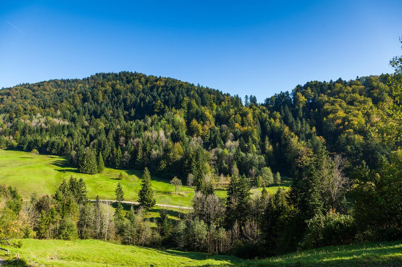 Hotel Bad Rain Mit Oberstaufen Plusgolf Exterior photo